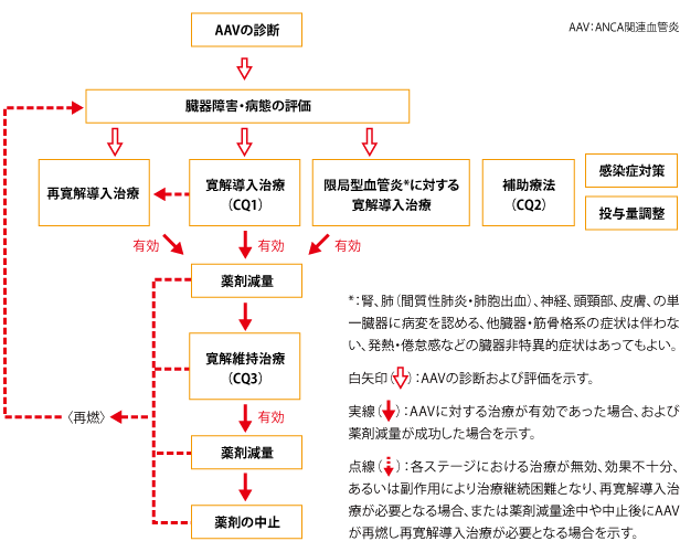 ANCA関連血管炎の治療 -ANCA関連血管炎.com-